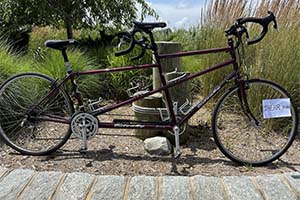 Photo of a Bilenky Custom Tandem Bicycle For Sale
