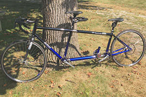 Photo of a 2013 da Vinci Steel Joint Venture S&S Tandem Bicycle For Sale
