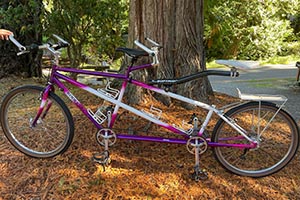 Photo of a Rodriguez w/ softride Tandem Bicycle For Sale