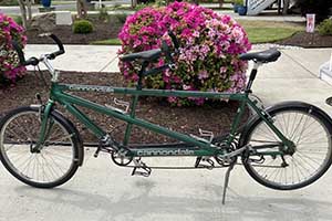 Photo of a 1998 Cannondale MT1000 Tandem Bicycle For Sale