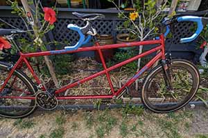 Photo of a Fred Taylor Carbon Lg/Med Tandem Bicycle For Sale