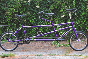 Photo of a R&E Cycles Model 20/14 Rohloff Custom Speedhub Tandem Bicycle For Sale