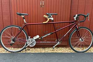 Photo of a Burly Duet Medium Tandem Bicycle For Sale