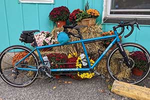 Photo of a 2020 Co-motion Carrera Tandem Bicycle For Sale