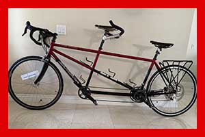 Photo of a 2006 Santana Team Niobium L/M Tandem Bicycle For Sale