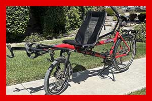 Photo of a 2021 Hase Pino Allround Tandem For Sale